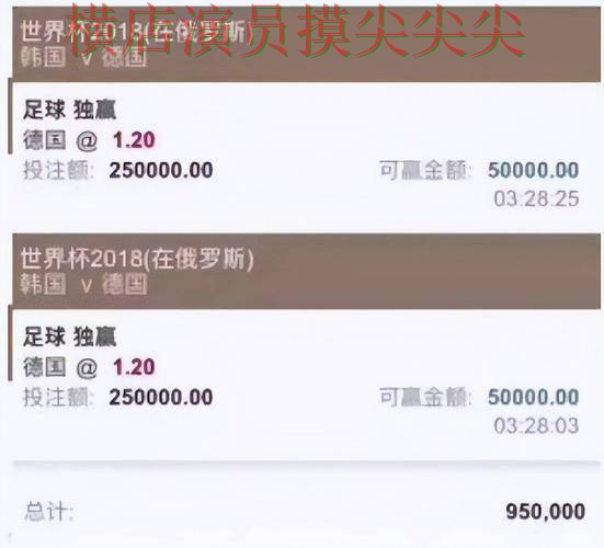 世界杯投注平台合集全面分析报告：速度测试+直播与实际体验总结 - 世界杯直播